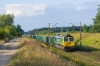 #66010 [Freightliner PL]