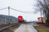 T448p-117 [DB Cargo Polska]
