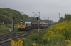 #66602 [Freightliner PL]