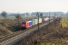 E186 242-4 [PCC Intermodal]