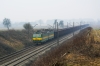 131 019-2 / 131 020-0 [InterCargo]