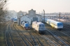 BR231-014 [Ecco Rail]