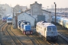 BR231-014 [Ecco Rail]