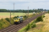 #66013 [Freightliner PL]