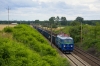 ET22-1017 [PKP Cargo]