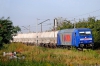 BR285-125 [Lotos Kolej]