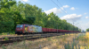 E189-206 [LTE Group]