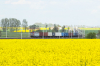 EU46-519 [PKP Cargo]