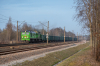 M62-1556 [IGL]