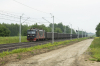 182 162-8 [Olavion]
