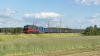 BR232-502 [Ciech Cargo]