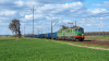 ET41-100 [PKP Cargo]