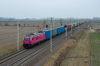 E6ACTadb-035 [PKP Cargo]