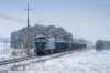 BR233 689-9 [Bartex]
