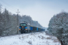 BR233 689-9 [Bartex]