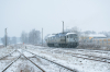 BR232-446 [Ecco Rail]