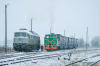 TGM40-0757 [Elewarr]