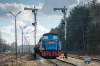 401Da-126 [ZIK Sandomierz]