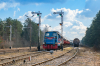 401Da-126 [ZIK Sandomierz]