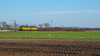 131 045-7 / 131 046-9 [Intercargo]