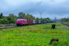 E6ACTadb-036 [PKP Cargo]