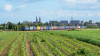 EU07-193 [PKP Cargo]