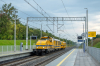 6Dh-1-008 [PKP PLK]