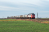 M62-590 [Orlen Koltrans]