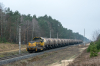 6Dg-38 [Przedsiębiorstwo Transportu Kolejowego ''Koltar"]