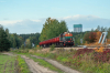 TEM2-033 [Pol-Miedź Trans]