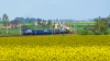 3E/1-75 [Ecco Rail]