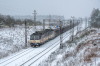 131 059-8 / 131 060-6 [Intercargo]