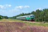 SU46-029 [PKP Cargo]