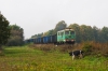 ST43-314 [PKP Cargo]