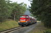 SU42-534 [Polregio]
