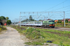 EP07-338 [PKP InterCity]