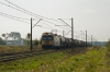 182 156-0 [CTL Logistics]