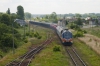 311D-16 [ZIK Sandomierz]