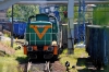 Ls800-2448 [Dalkia Łódź]