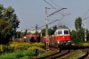 BR232 484-6 [DB Schenker Rail Polska]