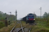 Ls800-2098 [ZIK Sandomierz]