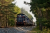 SM42-700/34 [Newag / del. PKP InterCity]