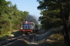 SM42-700/35 [Newag / del. PKP InterCity]