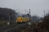SM42-135 [PKP Energetyka]
