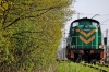 SM42-621 [PKP Cargo]