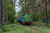 SM42-2501 [Tomaszowskie Kopalnie Surowców Mineralnych BIAŁA GÓRA - Jeleń]