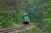 SM42-2501 [Tomaszowskie Kopalnie Surowców Mineralnych BIAŁA GÓRA - Jeleń]
