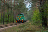 SM42-2501 [Tomaszowskie Kopalnie Surowców Mineralnych BIAŁA GÓRA - Jeleń]