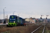 SM31-113 [PKP Cargo]