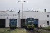 SM31-113 [PKP Cargo]
